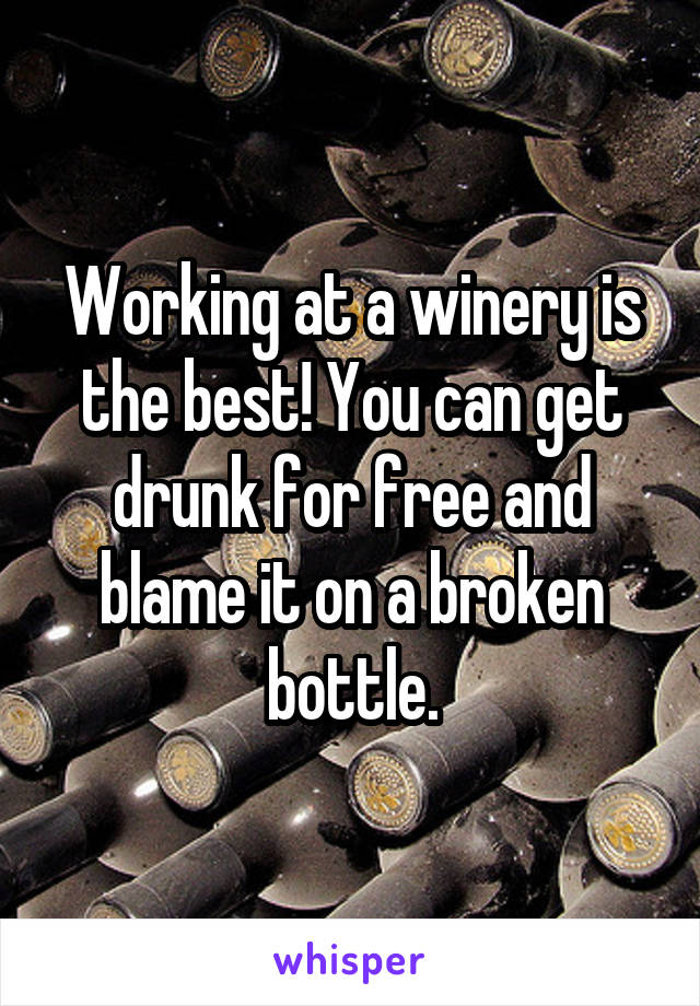 Working at a winery is the best! You can get drunk for free and blame it on a broken bottle.