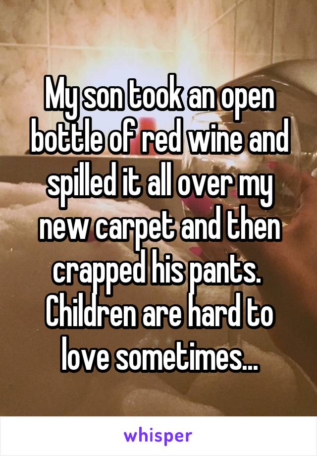 My son took an open bottle of red wine and spilled it all over my new carpet and then crapped his pants. 
Children are hard to love sometimes...