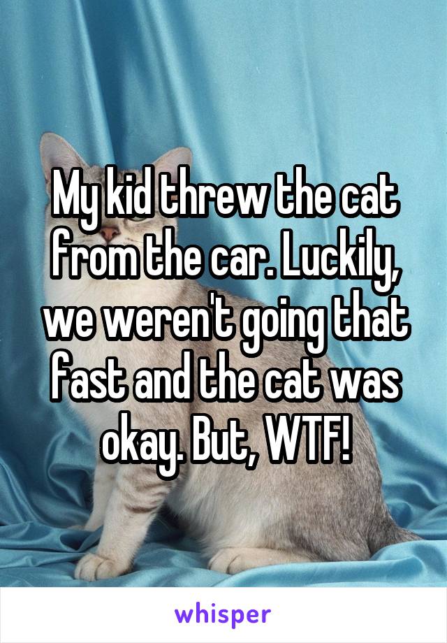 My kid threw the cat from the car. Luckily, we weren't going that fast and the cat was okay. But, WTF!