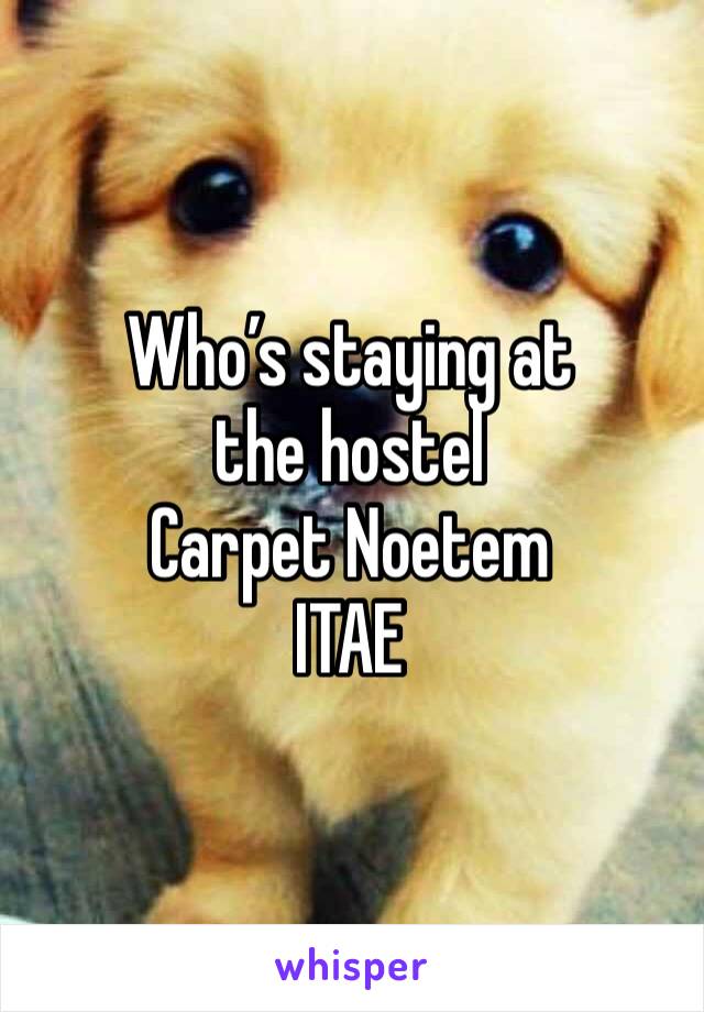 Who’s staying at the hostel 
Carpet Noetem
ITAE