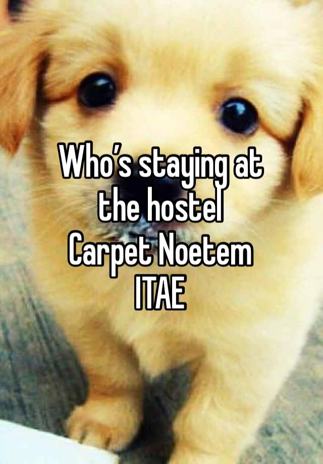 Who’s staying at the hostel 
Carpet Noetem
ITAE