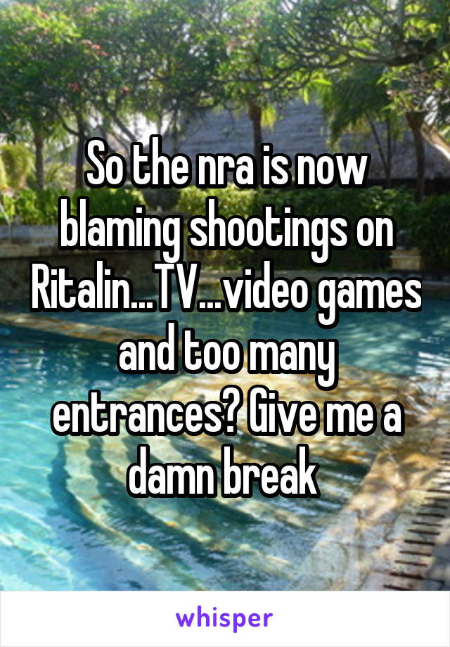 So the nra is now blaming shootings on Ritalin...TV...video games and too many entrances? Give me a damn break 