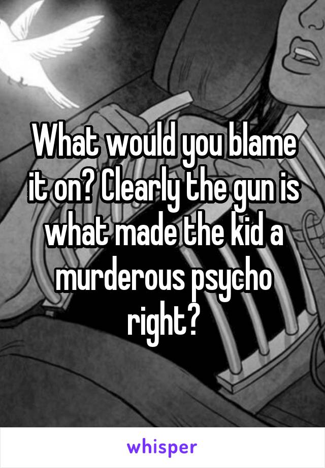 What would you blame it on? Clearly the gun is what made the kid a murderous psycho right?