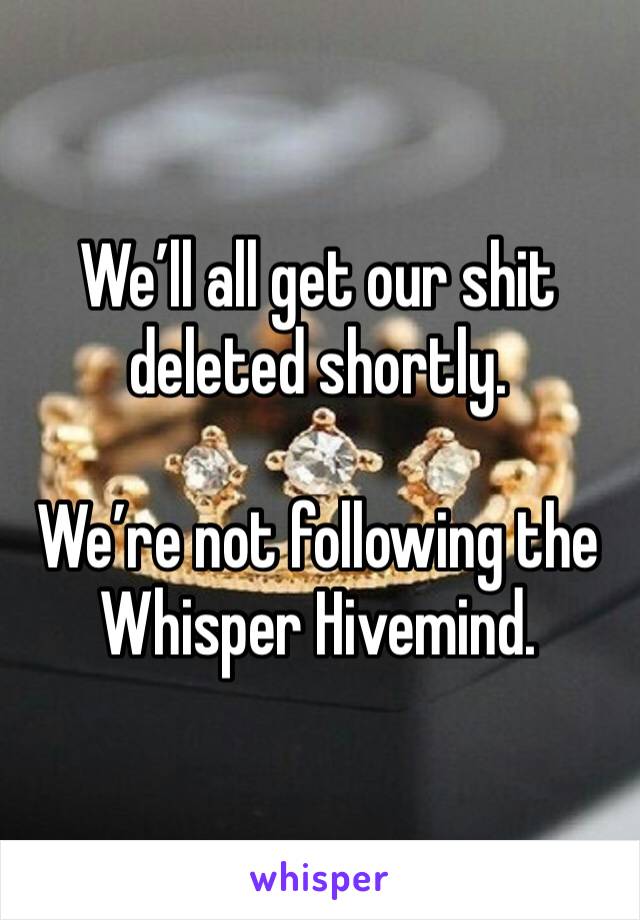 We’ll all get our shit deleted shortly.

We’re not following the Whisper Hivemind.