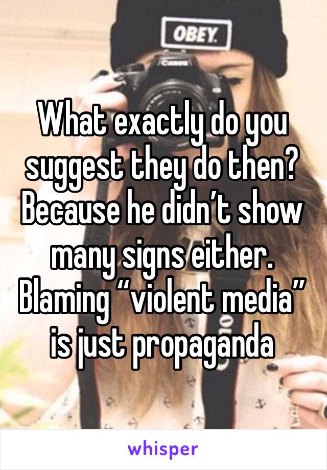 What exactly do you suggest they do then? Because he didn’t show many signs either. Blaming “violent media” is just propaganda 