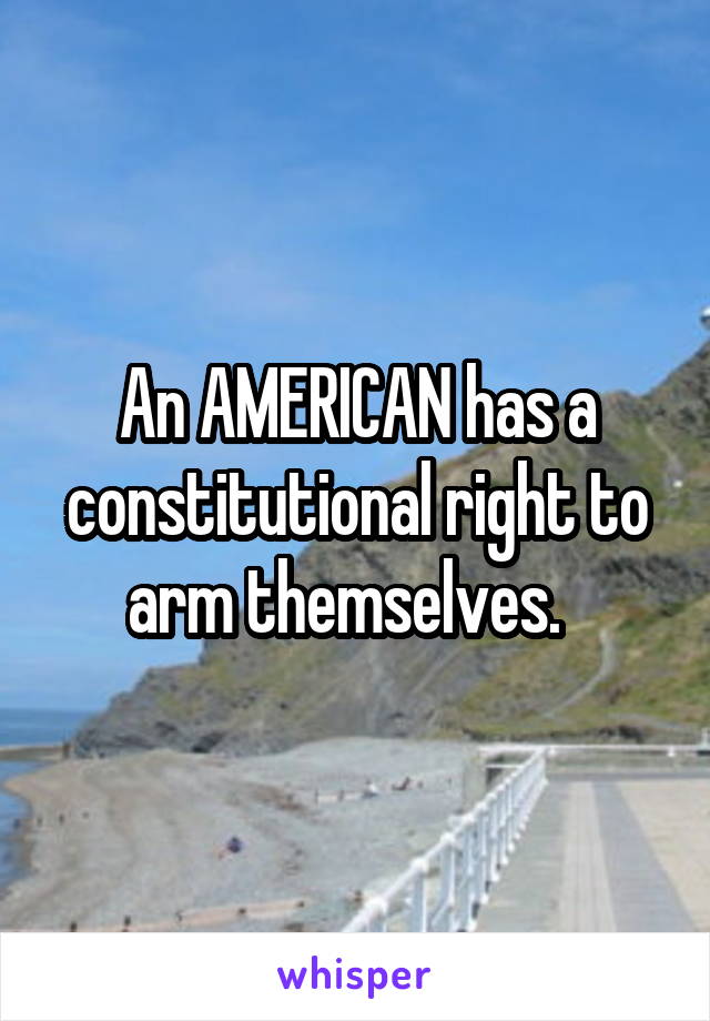 An AMERICAN has a constitutional right to arm themselves.  