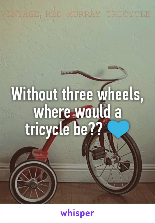 Without three wheels, where would a tricycle be?? 💙