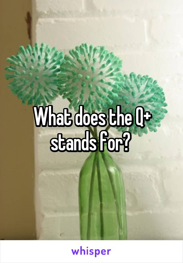 What does the Q+ stands for? 