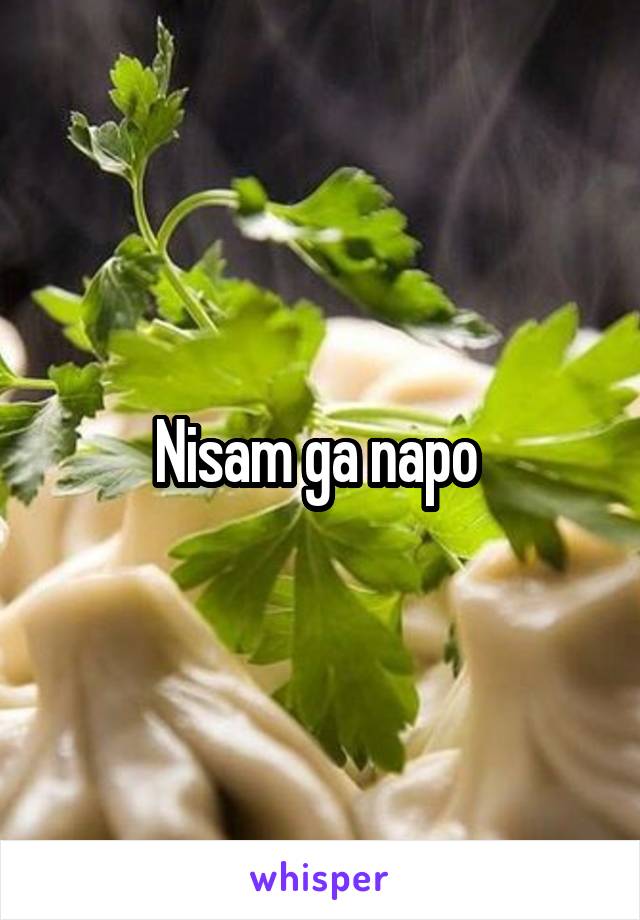 Nisam ga napo 