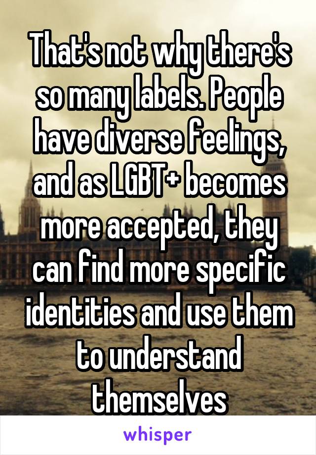 That's not why there's so many labels. People have diverse feelings, and as LGBT+ becomes more accepted, they can find more specific identities and use them to understand themselves