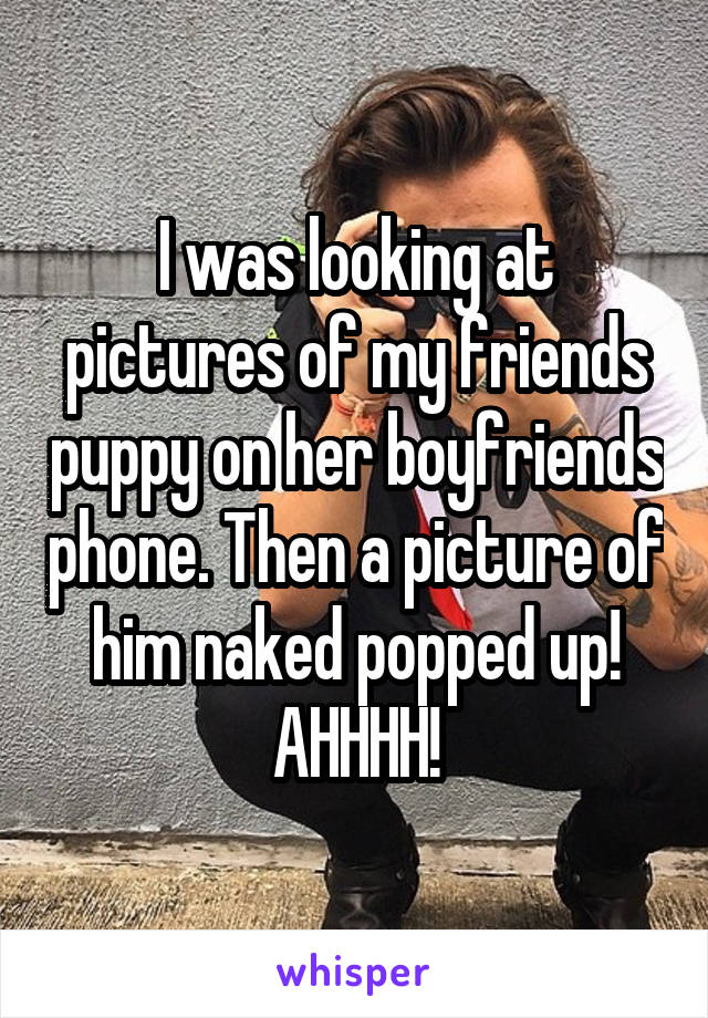 I was looking at pictures of my friends puppy on her boyfriends phone. Then a picture of him naked popped up! AHHHH!