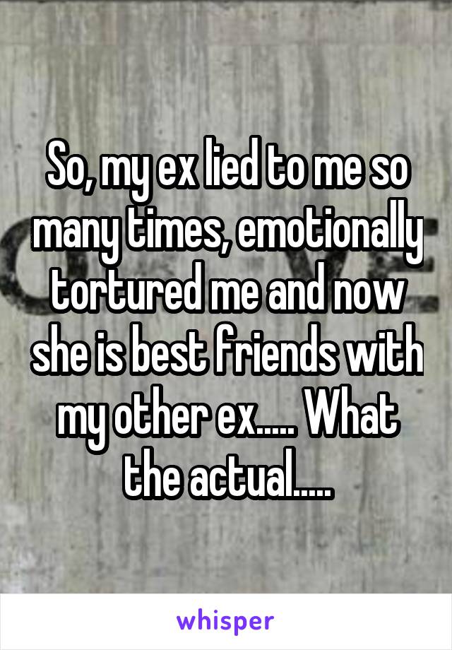 So, my ex lied to me so many times, emotionally tortured me and now she is best friends with my other ex..... What the actual.....