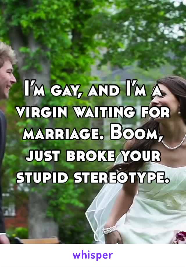 I’m gay, and I’m a virgin waiting for marriage. Boom, just broke your stupid stereotype.