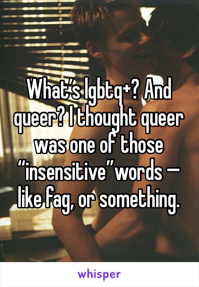 What’s lgbtq+? And queer? I thought queer was one of those “insensitive”words —like fag, or something.