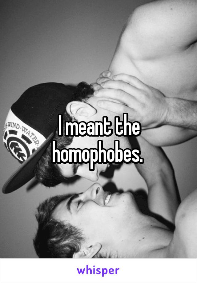 I meant the homophobes. 