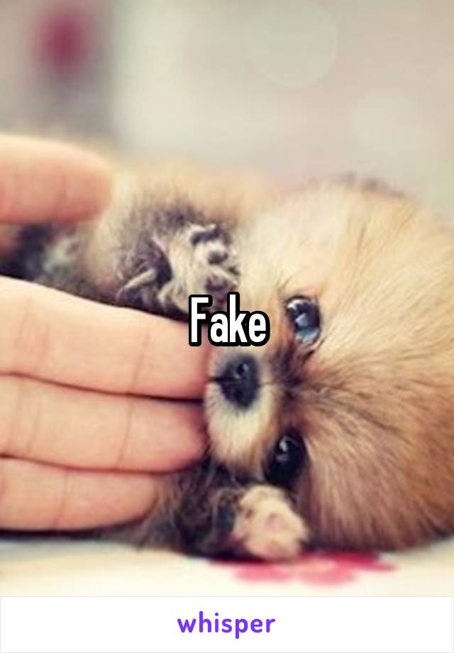 Fake