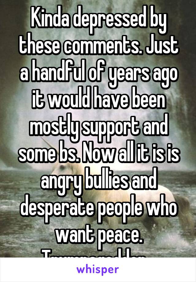 Kinda depressed by these comments. Just a handful of years ago it would have been mostly support and some bs. Now all it is is angry bullies and desperate people who want peace. Trumpageddon...