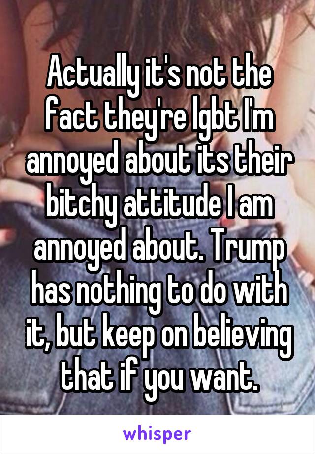 Actually it's not the fact they're lgbt I'm annoyed about its their bitchy attitude I am annoyed about. Trump has nothing to do with it, but keep on believing that if you want.