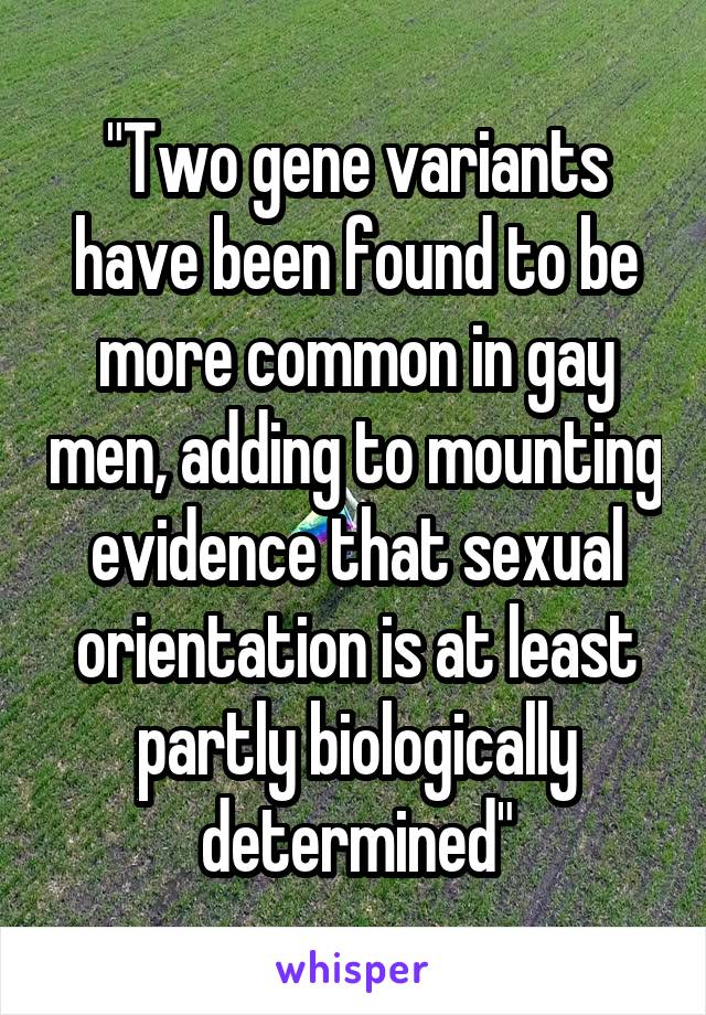 "Two gene variants have been found to be more common in gay men, adding to mounting evidence that sexual orientation is at least partly biologically determined"