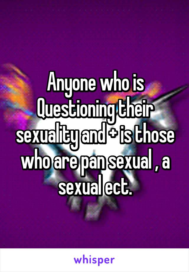 Anyone who is Questioning their sexuality and + is those who are pan sexual , a sexual ect.