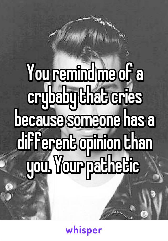 You remind me of a crybaby that cries because someone has a different opinion than you. Your pathetic 