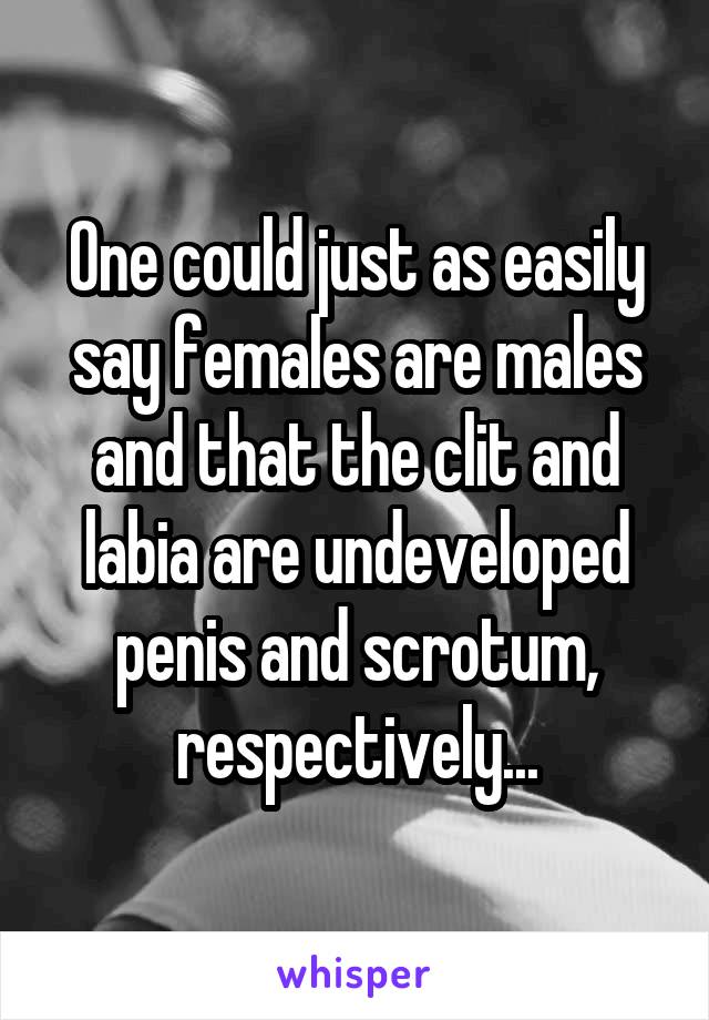 One could just as easily say females are males and that the clit and labia are undeveloped penis and scrotum, respectively...