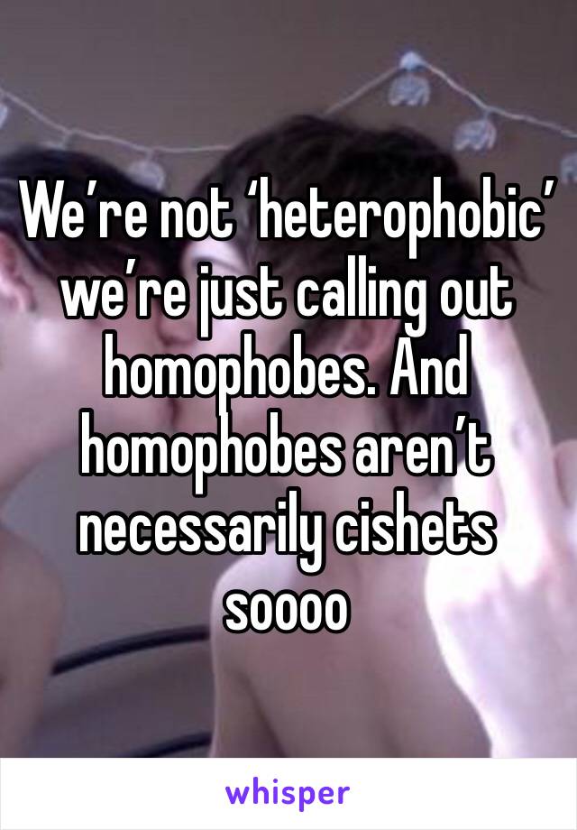 We’re not ‘heterophobic’ we’re just calling out homophobes. And homophobes aren’t necessarily cishets soooo 