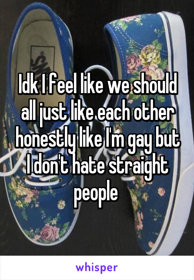 Idk I feel like we should all just like each other honestly like I'm gay but I don't hate straight people 