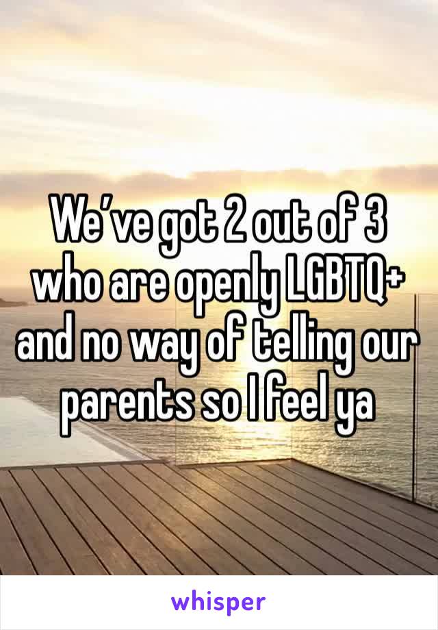 We’ve got 2 out of 3 who are openly LGBTQ+ and no way of telling our parents so I feel ya