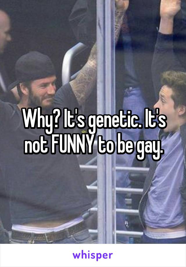 Why? It's genetic. It's not FUNNY to be gay.