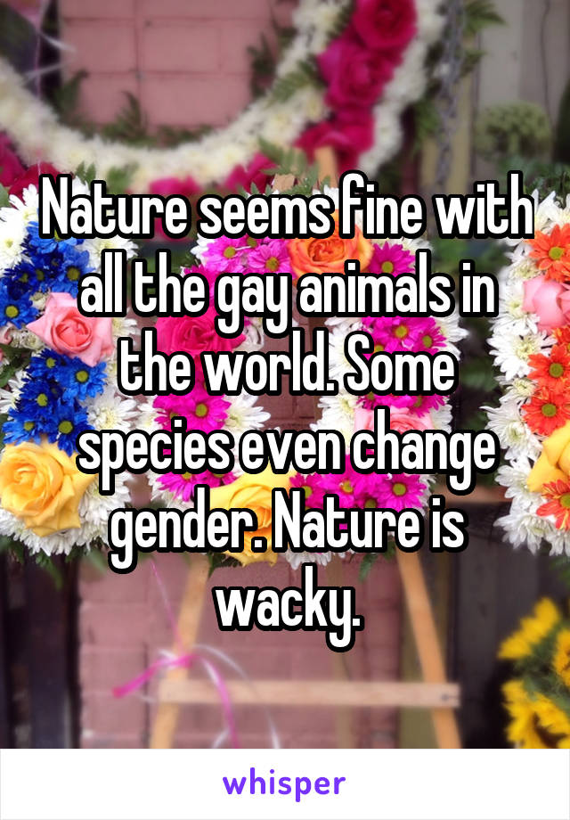 Nature seems fine with all the gay animals in the world. Some species even change gender. Nature is wacky.