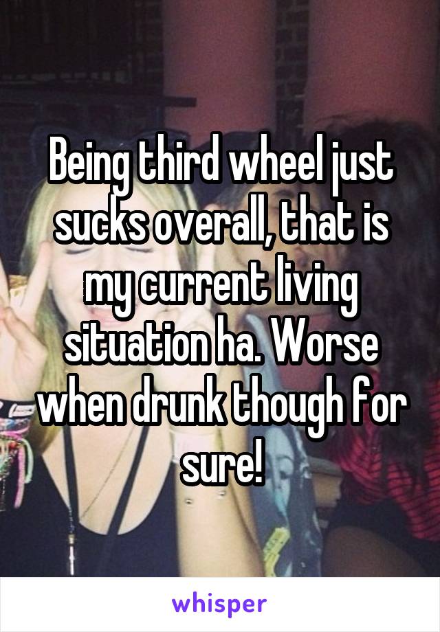 Being third wheel just sucks overall, that is my current living situation ha. Worse when drunk though for sure!