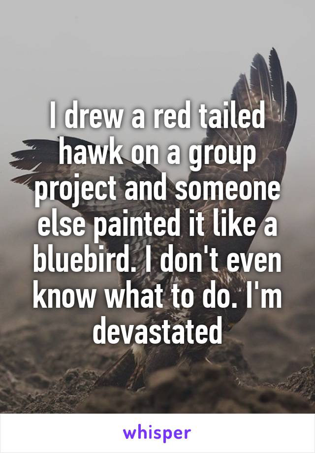 I drew a red tailed hawk on a group project and someone else painted it like a bluebird. I don't even know what to do. I'm devastated