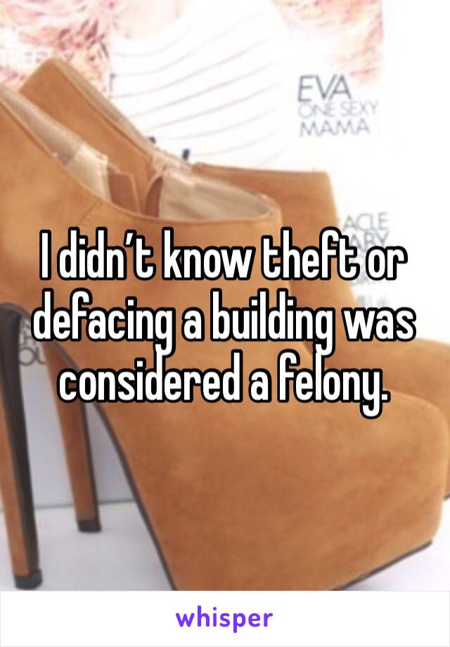 I didn’t know theft or defacing a building was considered a felony.