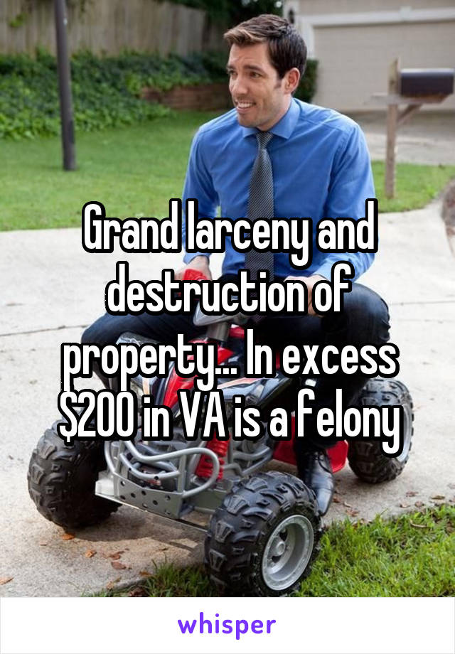 Grand larceny and destruction of property... In excess $200 in VA is a felony