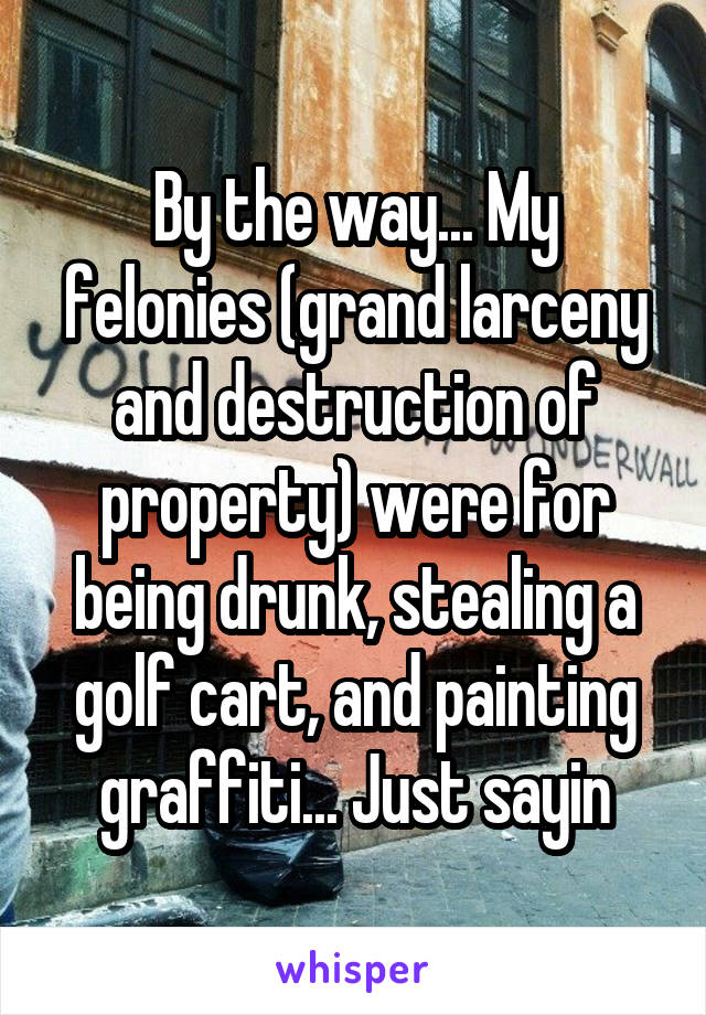 By the way... My felonies (grand larceny and destruction of property) were for being drunk, stealing a golf cart, and painting graffiti... Just sayin