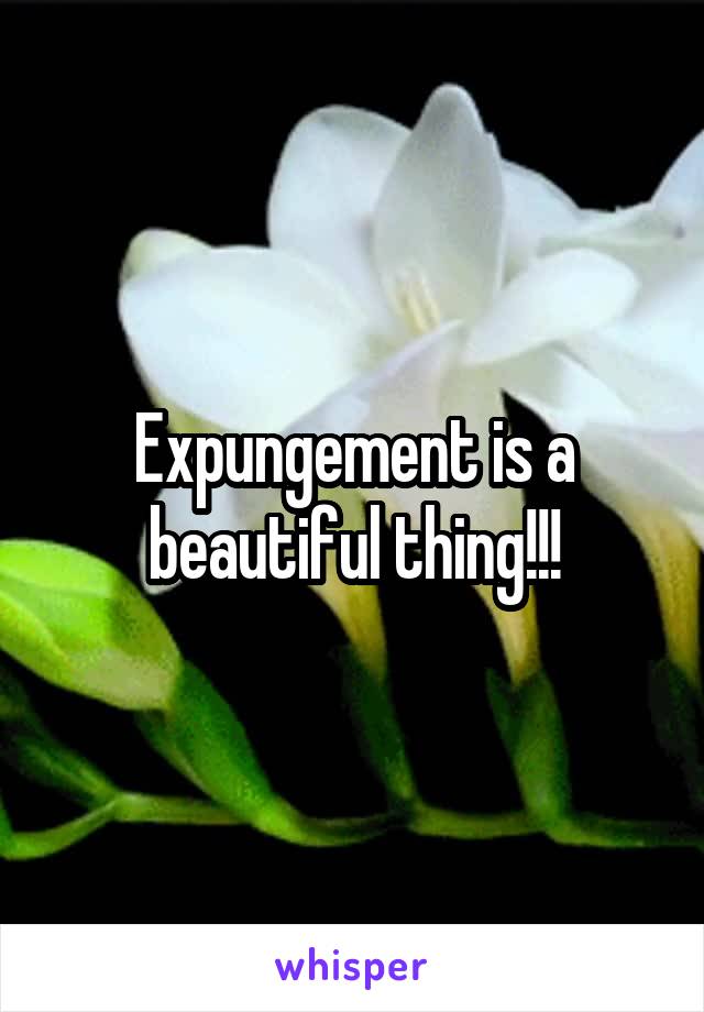 Expungement is a beautiful thing!!!