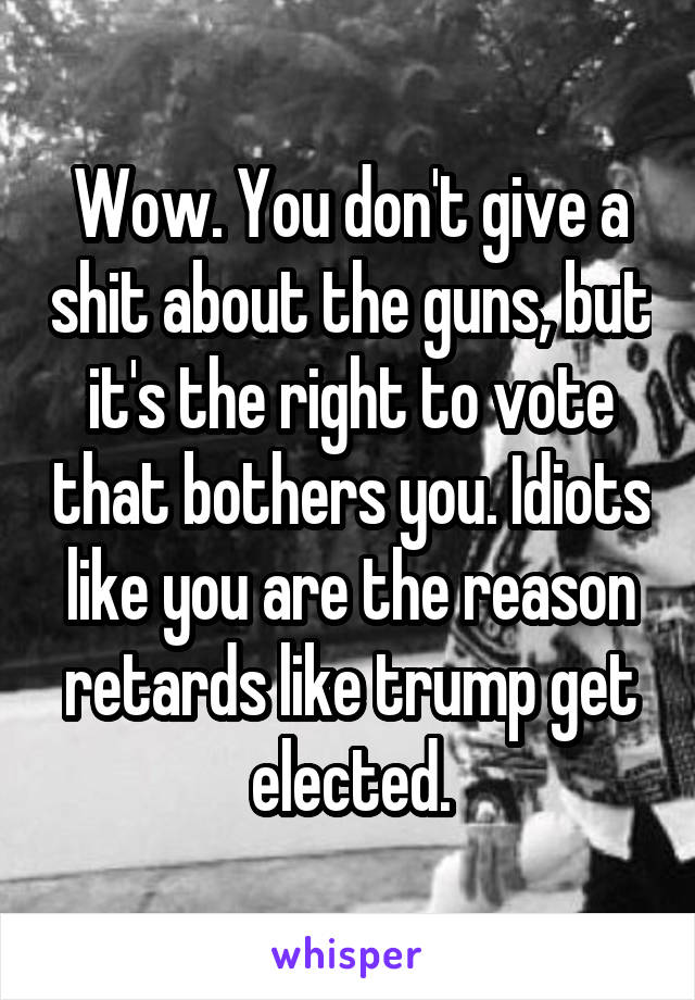 Wow. You don't give a shit about the guns, but it's the right to vote that bothers you. Idiots like you are the reason retards like trump get elected.