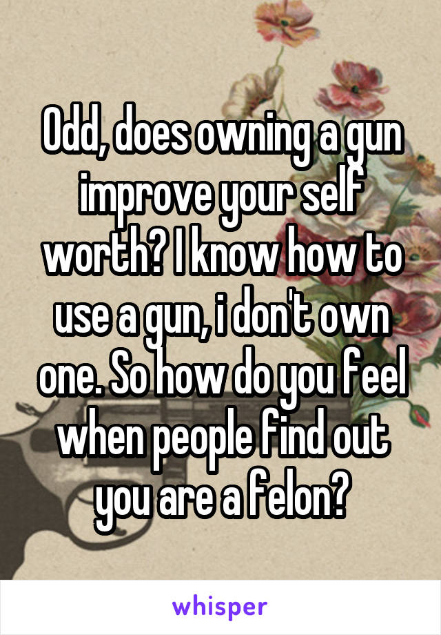 Odd, does owning a gun improve your self worth? I know how to use a gun, i don't own one. So how do you feel when people find out you are a felon?