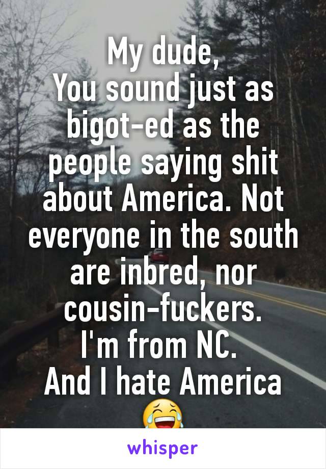 My dude,
You sound just as bigot-ed as the people saying shit about America. Not everyone in the south are inbred, nor cousin-fuckers.
I'm from NC. 
And I hate America 😂