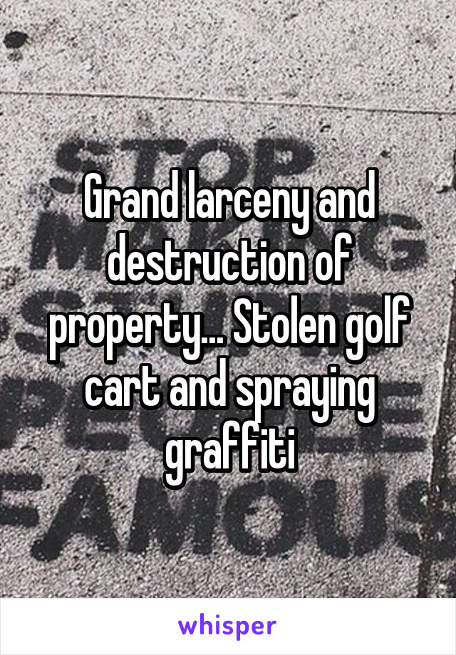 Grand larceny and destruction of property... Stolen golf cart and spraying graffiti