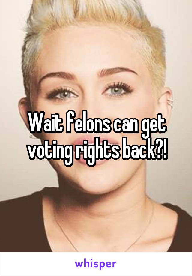 Wait felons can get voting rights back?!