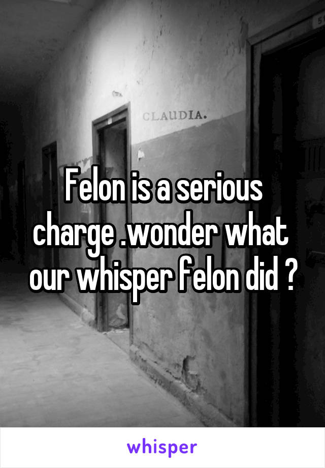 Felon is a serious charge .wonder what  our whisper felon did ?