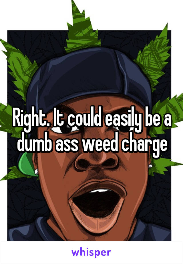 Right. It could easily be a dumb ass weed charge