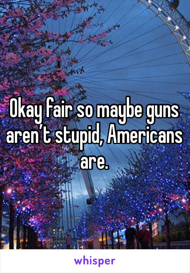 Okay fair so maybe guns aren’t stupid, Americans are.