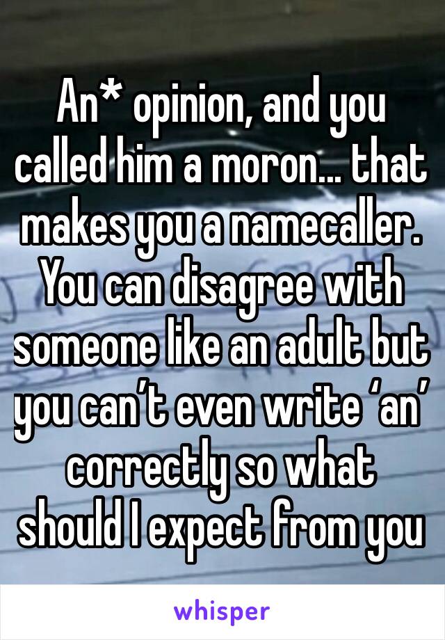 An* opinion, and you called him a moron... that makes you a namecaller. You can disagree with someone like an adult but you can’t even write ‘an’ correctly so what should I expect from you