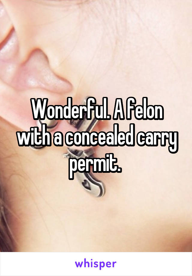 Wonderful. A felon with a concealed carry permit. 