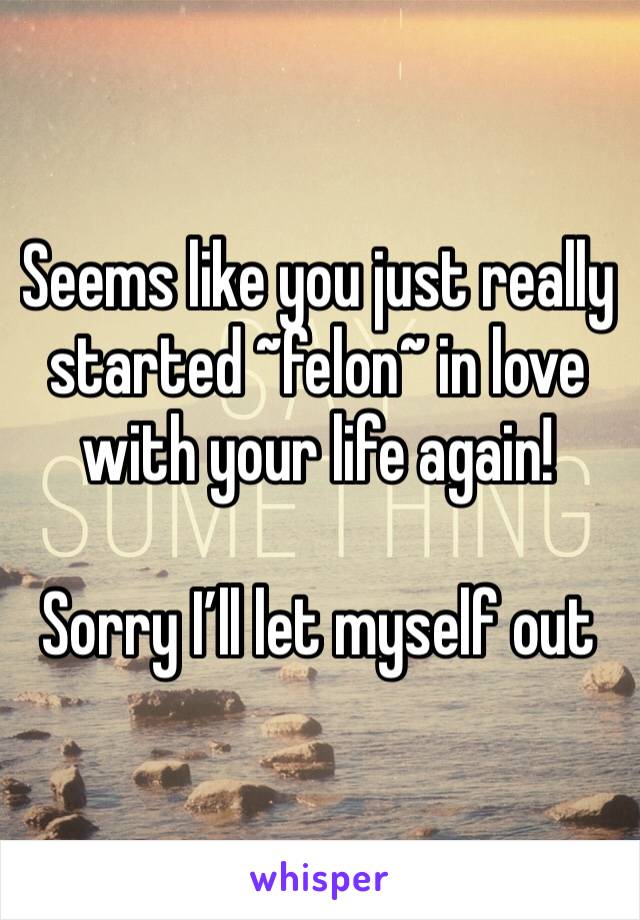 Seems like you just really started ~felon~ in love with your life again! 

Sorry I’ll let myself out 