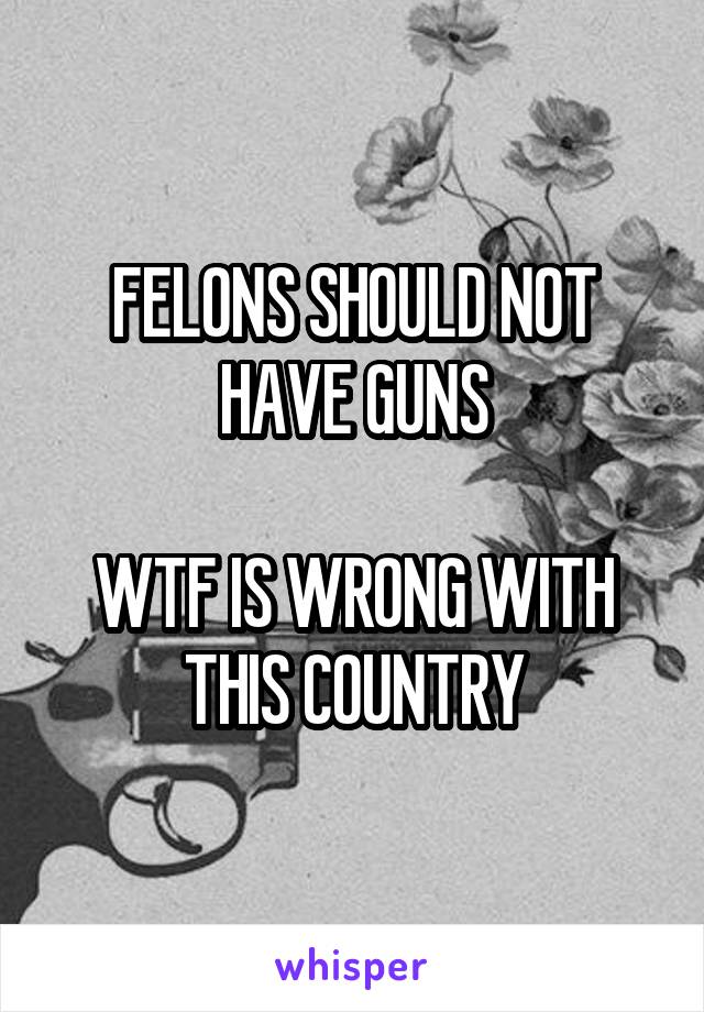 FELONS SHOULD NOT HAVE GUNS

WTF IS WRONG WITH THIS COUNTRY