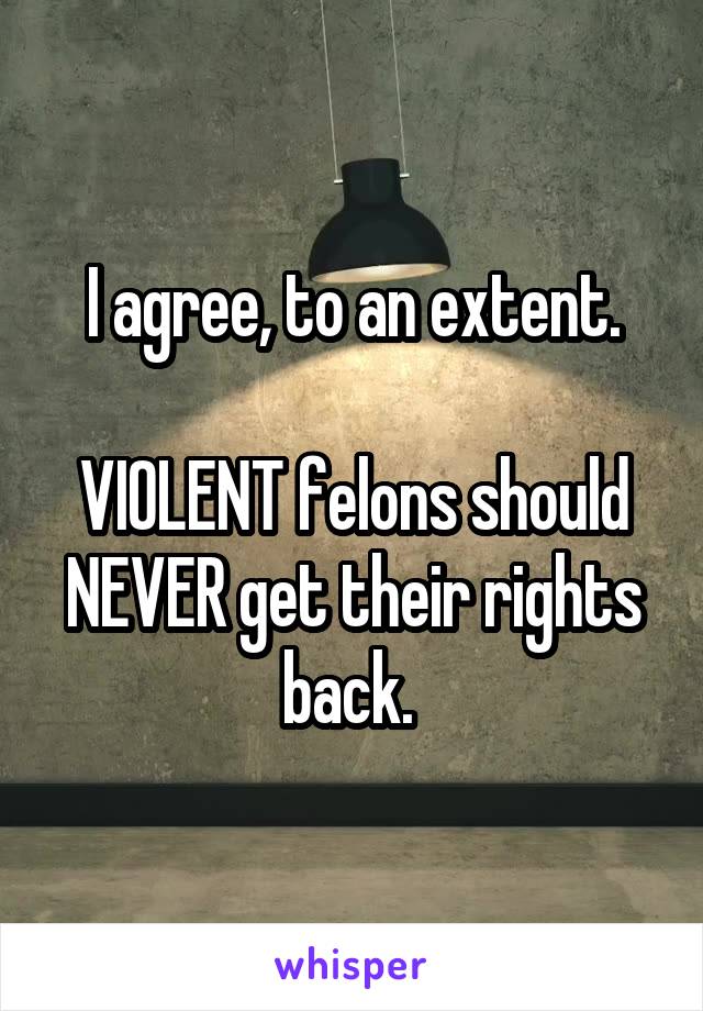 I agree, to an extent.

VIOLENT felons should NEVER get their rights back. 